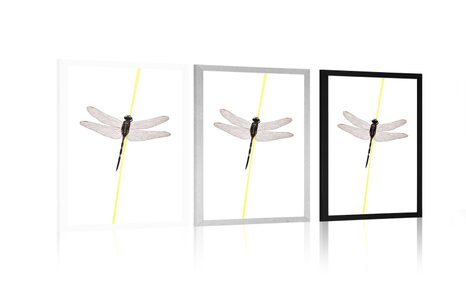 POSTER ZAUBER DER LIBELLE - MOTIVE AUS UNSERER WERKSTATT - POSTER