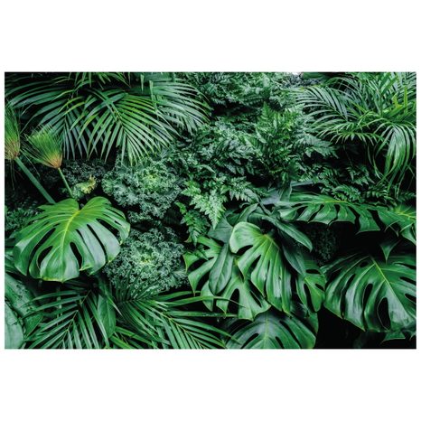 SAMOLEPÍCÍ FOTOTAPETA LISTY DŽUNGLE - SAMOLEPÍCÍ TAPETY - TAPETY