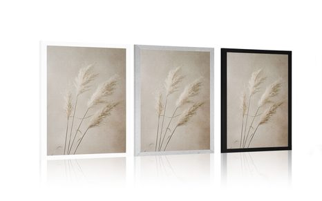 POSTER IARBA USCATĂ DE PAMPAS - BOTANICE - POSTERE