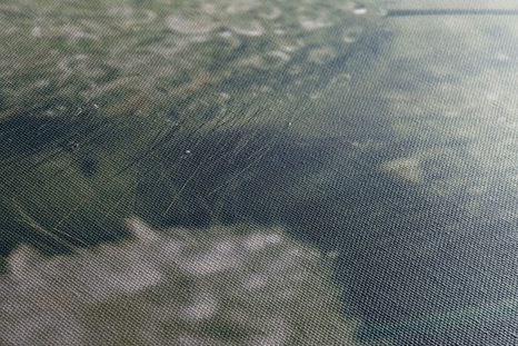 КАРТИНА НА ПЛАТНО – КАПКИ РОСА НА ТРЕВА - КАРТИНИ НА ПРИРОДАТА И ПЕЙЗАЖИ - КАРТИНИ