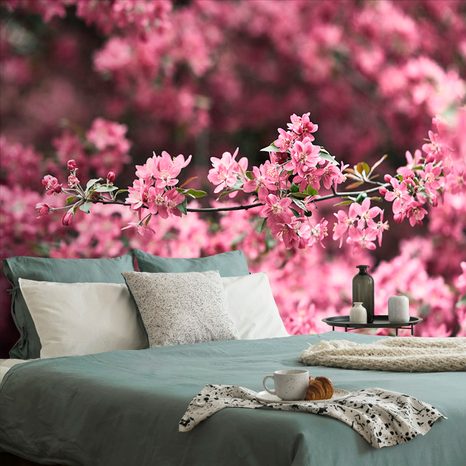 WALL MURAL DETAILED CHERRY BLOSSOMS - WALLPAPERS NATURE - WALLPAPERS