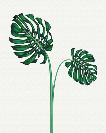 MALOVÁNÍ PODLE ČÍSEL TROPICKÁ MONSTERA - KVĚTY - MALOVÁNÍ PODLE ČÍSEL