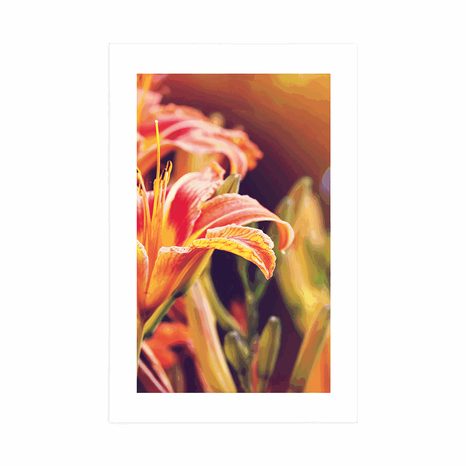 AFFICHE AVEC PASSE-PARTOUT – FLEURS MAGNIFIQUEMENT FLORISSANTES DANS LE JARDIN - FLEURS - AFFICHES