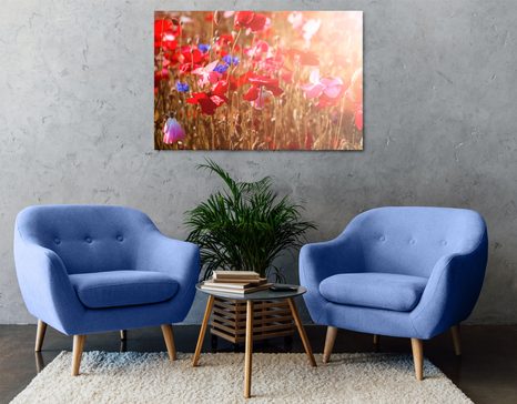 SLIKA MAK PREKRIT S SONCEM - SLIKE ROŽ - SLIKE