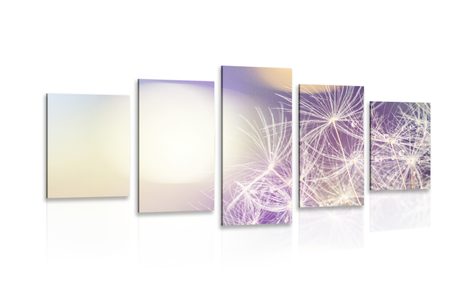 5-PIECE CANVAS PRINT DETAILED VIEW OF A DANDELION - PICTURES FLOWERS - PICTURES
