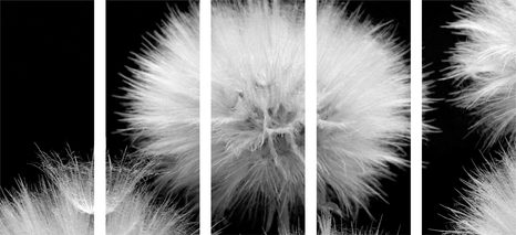 ΕΙΚΌΝΑ 5 ΜΕΡΏΝ ΑΣΠΡΌΜΑΥΡΗ ΠΙΚΡΑΛΊΔΑ - ΠΊΝΑΚΕΣ ΑΣΠΡΌΜΑΥΡΕΣ - ΠΊΝΑΚΕΣ