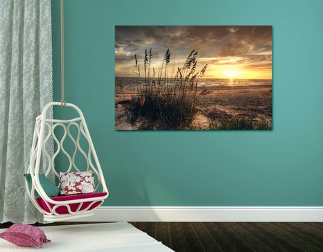 ΕΙΚΌΝΑ ΗΛΙΟΒΑΣΊΛΕΜΑ ΣΤΗΝ ΠΑΡΑΛΊΑ - ΠΊΝΑΚΕΣ ΦΎΣΗΣ ΚΑΙ ΤΟΠΊΟΥ - ΠΊΝΑΚΕΣ