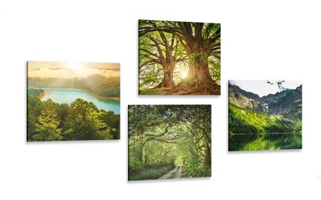 CANVAS PRINT SET BEAUTIFUL GREEN NATURE - SET OF PICTURES - PICTURES