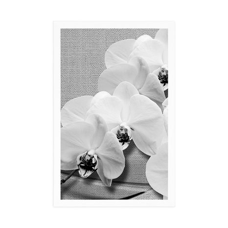 PLAKÁT ORCHIDEJ NA PLÁTNĚ V ČERNOBÍLÉM PROVEDENÍ - ČERNOBÍLÉ - PLAKÁTY