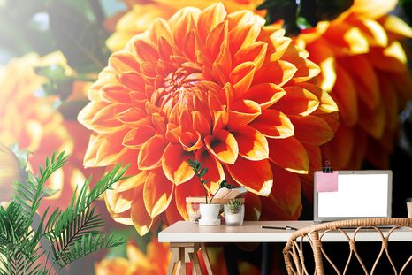 SAMOLEPÍCÍ FOTOTAPETA ORANŽOVÁ DÁLÍ - SAMOLEPÍCÍ TAPETY - TAPETY