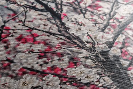 TABLEAU SUR TOILE – FLEURS DE PÊCHER - TABLEAUX DE FLEURS - TABLEAUX