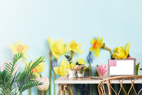 FOTOTAPETE KOMPOSITION MIT FRÜHLINGSBLUMEN - TAPETEN MIT BLUMENMOTIVEN - TAPETEN