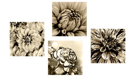 SET OBRAZOV KVETY V SÉPIOVOM PREVEDENÍ - ZOSTAVY OBRAZOV - OBRAZY