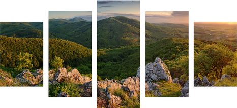 5-TEILIGES WANDBILD IN SONNENLICHT GETAUCHTE NATUR - BILDER VON NATUR UND LANDSCHAFT - BILDER