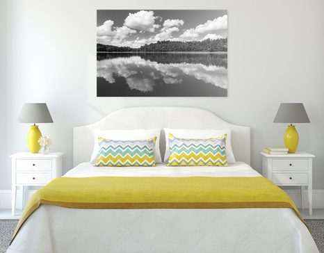 КАРТИНА НА ПЛАТНО – ПРИРОДА ПРЕЗ ЛЯТОТО В ЧЕРНО-БЯЛО ИЗПЪЛНЕНИЕ - ЧЕРНО-БЕЛИ КАРТИНИ - КАРТИНИ