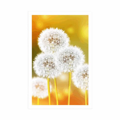 PLAGÁT NADÝCHANÁ PÚPAVA - KVETY - PLAGÁTY