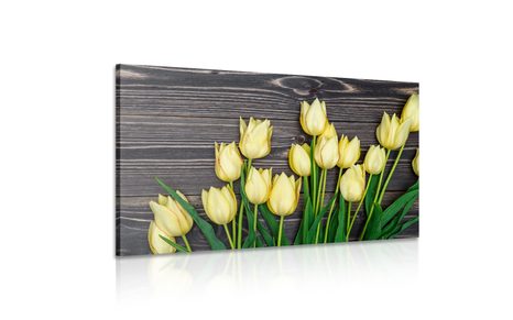 KÉP SÁRGA TULIPÁNOK FA HÁTTÉREN - VIRÁGMINTÁS KÉPEK - KÉPEK