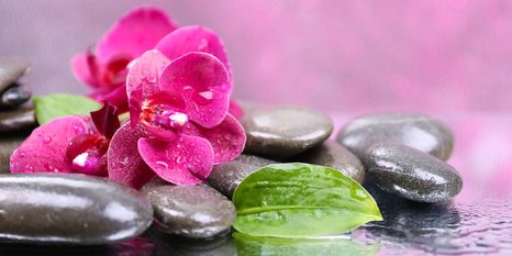 OBRAZ ORCHIDEJ S NÁDECHEM RELAXU - OBRAZY FENG SHUI - OBRAZY