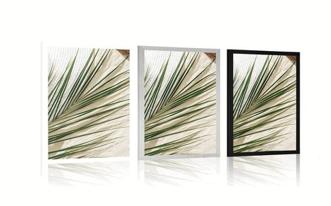 POSTER – NATURA MORTA ESTIVA - ANCORA VITA - POSTER