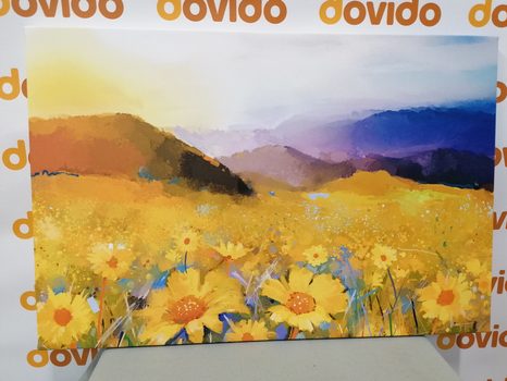 SLIKA POLJE POLNO SONČNIC - SLIKE NARAVE IN POKRAJINE - SLIKE