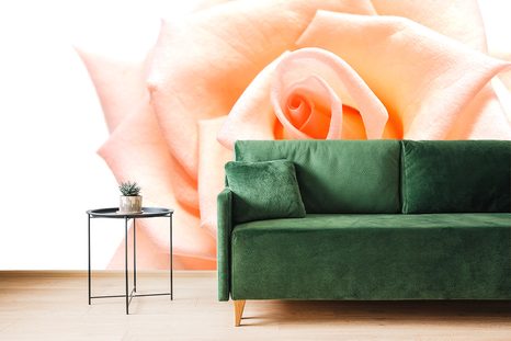 SELF ADHESIVE WALL MURAL ROSE IN A PEACH SHADE - SELF-ADHESIVE WALLPAPERS - WALLPAPERS