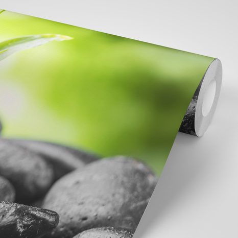 SAMOLEPÍCÍ FOTOTAPETA MEDITAČNÍ ZEN KOMPOZICE - SAMOLEPÍCÍ TAPETY - TAPETY