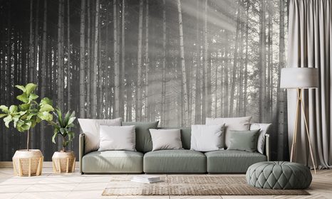 SAMOLEPÍCÍ FOTOTAPETA SLUNCE ZA STROMY V ČERNOBÍLÉM - SAMOLEPÍCÍ TAPETY - TAPETY