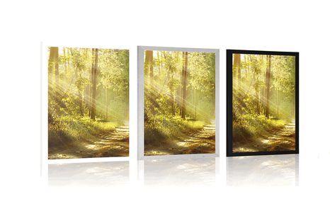 POSTER MIT PASSEPARTOUT SONNENSTRAHLEN IM WALD - NATUR - POSTER