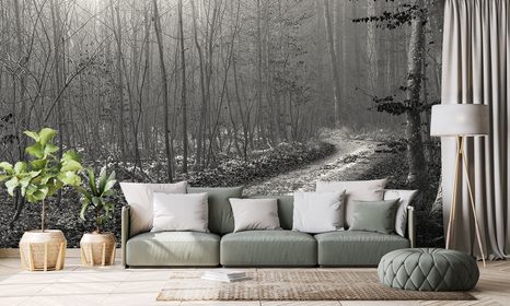 CARTA DA PARATI – SENTIERO NEL BOSCO IN BIANCO E NERO - CARTA DA PARATI BIANCO E NERO - CARTA DA PARATI