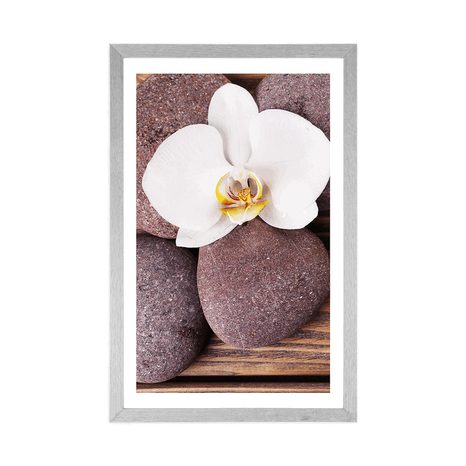POSTER – PIETRE DEL BENESSERE E ORCHIDEA SU SFONDO IN LEGNO - FENG SHUI - POSTER