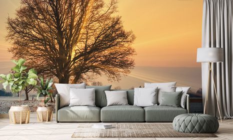 FOTOTAPETA KONĚ V ZASNĚŽENÉ KRAJINĚ - TAPETY PŘÍRODA - TAPETY