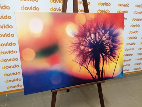 КАРТИНА НА ПЛАТНО – СИЯЕЩО ГЛУХАРЧЕ - КАРТИНИ С ЦВЕТЯ - КАРТИНИ