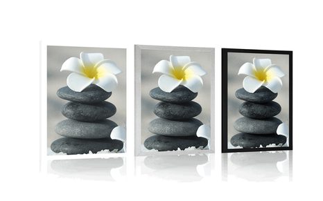 POSTER HARMONISCHE STEINE UND PLUMERIA-BLÜTE - FENG SHUI - POSTER