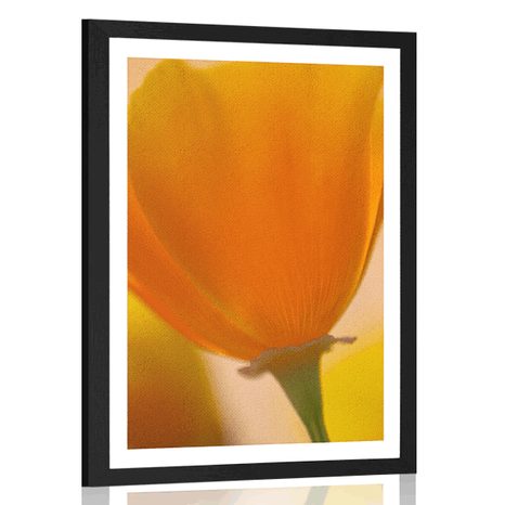 POSTER MIT PASSEPARTOUT BLUMENSTRAUSS IN DETAILANSICHT - BLUMEN - POSTER