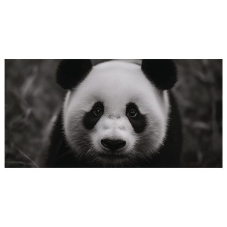 WANDBILD LÄCHELNDER SCHWARZ-WEISSER PANDA - BILDER TIERE - BILDER