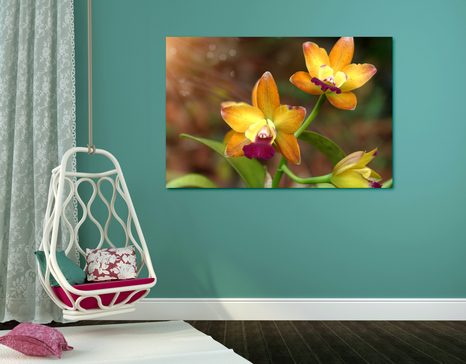 TABLOU ORHIDEE PORTOCALIE - TABLOU FLORI - TABLOURI
