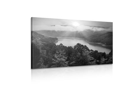 ΕΙΚΌΝΑ ΕΝΌΣ ΠΟΤΑΜΟΎ ΣΤΗ ΜΈΣΗ ΕΝΌΣ ΔΆΣΟΥΣ ΣΕ ΑΣΠΡΌΜΑΥΡΟ - ΠΊΝΑΚΕΣ ΑΣΠΡΌΜΑΥΡΕΣ - ΠΊΝΑΚΕΣ