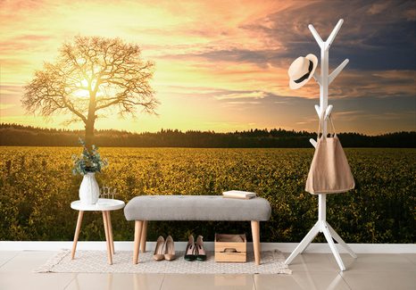 SAMOLEPÍCÍ FOTOTAPETA OSAMĚLÉHO STROMU - SAMOLEPÍCÍ TAPETY - TAPETY