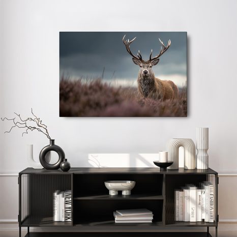 OBRAZ MAJESTÁTNÍ JELEN V PŘÍRODĚ - OBRAZY JELENI - OBRAZY