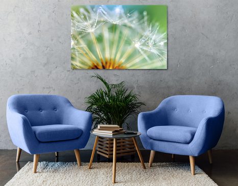 WANDBILD SCHÖNES DETAIL DES LÖWENZAHNS - BILDER BLUMEN - BILDER