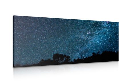 CANVAS PRINT MILKY WAY AMONG THE STARS - PICTURES OF SPACE AND STARS - PICTURES