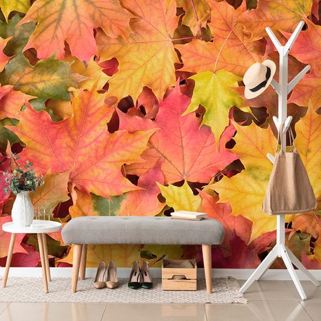 WALL MURAL AUTUMN LEAVES - WALLPAPERS NATURE - WALLPAPERS
