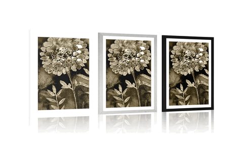 AFFICHE AVEC PASSE-PARTOUT – FLEURS MAGNIFIQUES EN SÉPIA - NOIR ET BLANC - AFFICHES