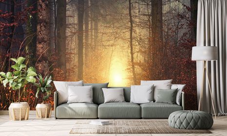 WALL MURAL LIGHT IN THE FOREST - WALLPAPERS NATURE - WALLPAPERS