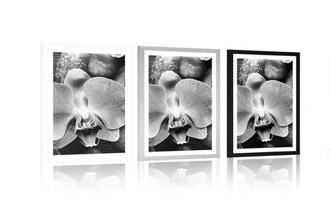POSTER MIT PASSEPARTOUT WUNDERSCHÖNE ORCHIDEE UND STEINE IN SCHWARZ-WEISS - SCHWARZ-WEISS - POSTER