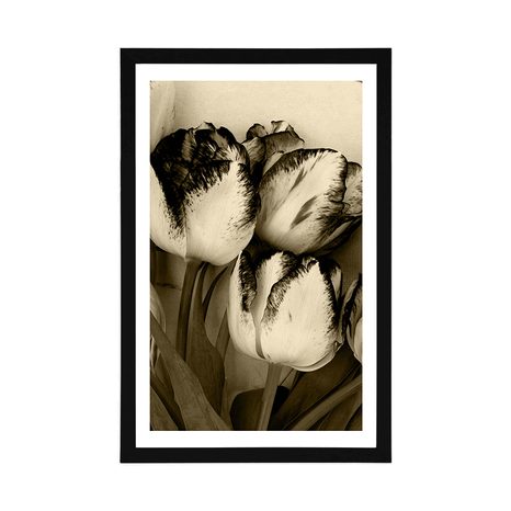 AFFICHE AVEC PASSE-PARTOUT – TULIPES PRINTANIÈRES EN SÉPIA - NOIR ET BLANC - AFFICHES