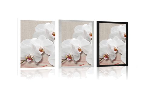 PLAKÁT BÍLÁ ORCHIDEJ NA PLÁTNĚ - KVĚTINY - PLAKÁTY