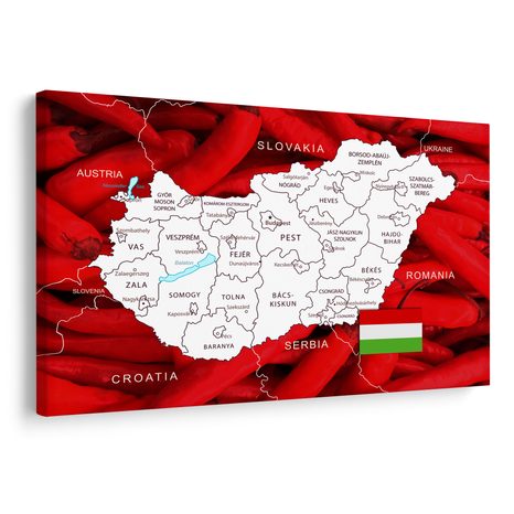 OBRAZ MAPA MAĎARSKA S TYPICKÝM POZADÍM - OBRAZY MAPY - OBRAZY