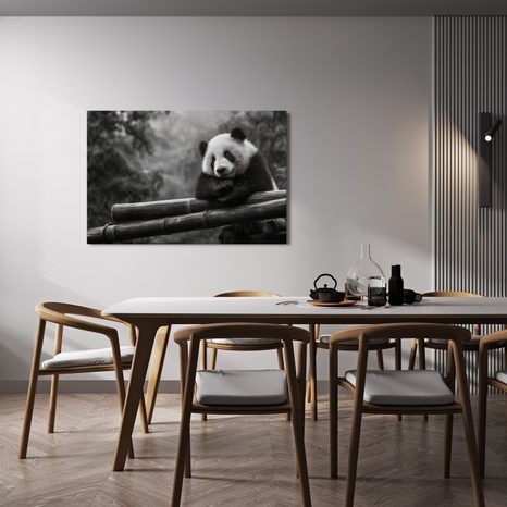 OBRAZ PANDA ODPOČÍVAJÍCÍ NA BAMBUSU - OBRAZY ZVÍŘAT - OBRAZY