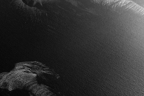 OBRAZ MALÝ SLON A SLONICE - ČERNOBÍLÉ OBRAZY - OBRAZY